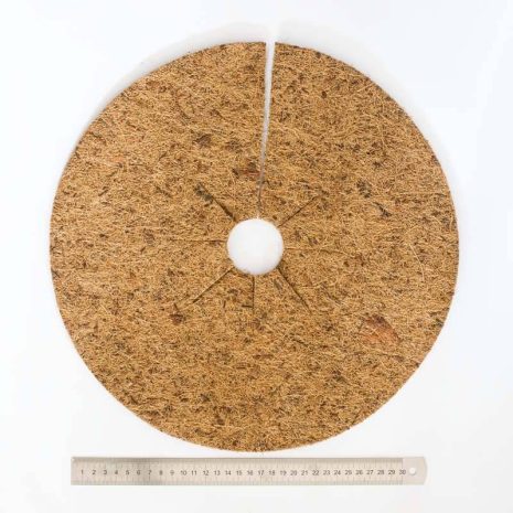 IMG_0386 KOKOSTELLER