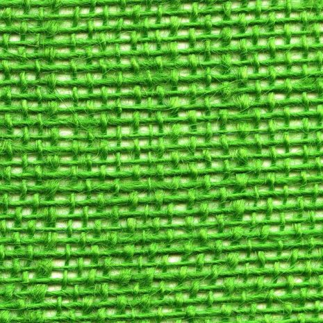 lightgreen lightgreen